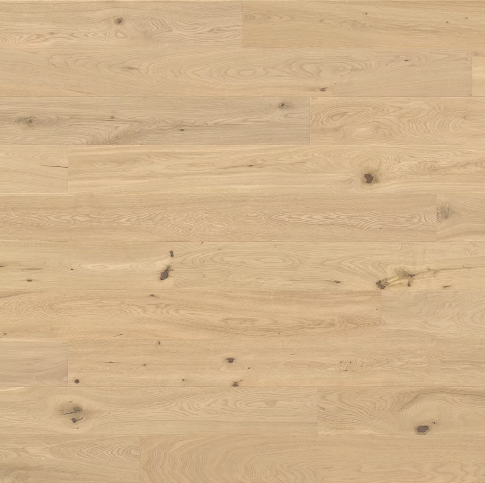 Florence 7.5